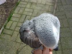image022