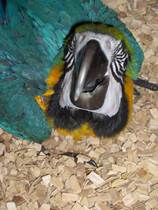 image014