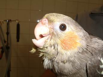 image019