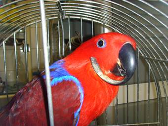 image030
