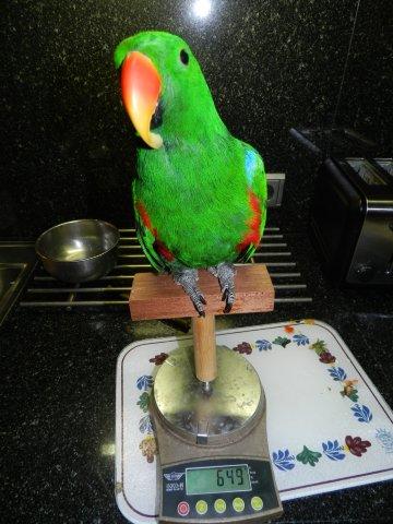 image018