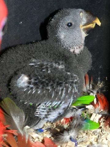 image020