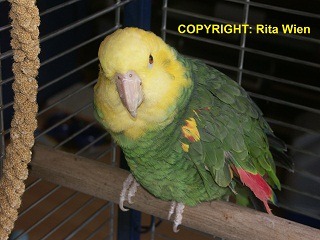 image022