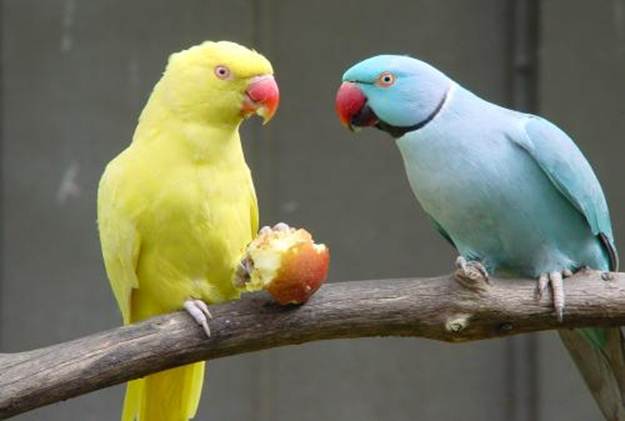 image023