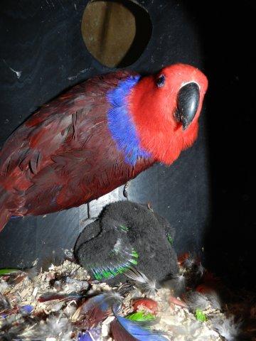 image024