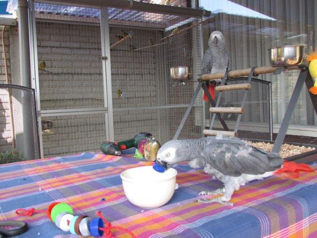 image004