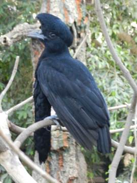 image013
