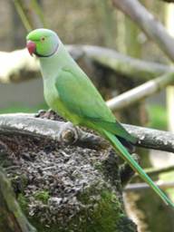 image025