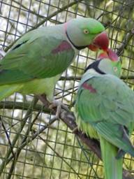 image026