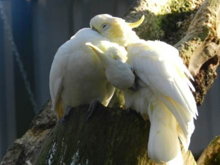 image028