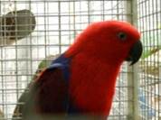 image021