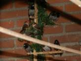image026