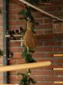 image027