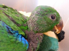 image034