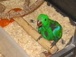 image039