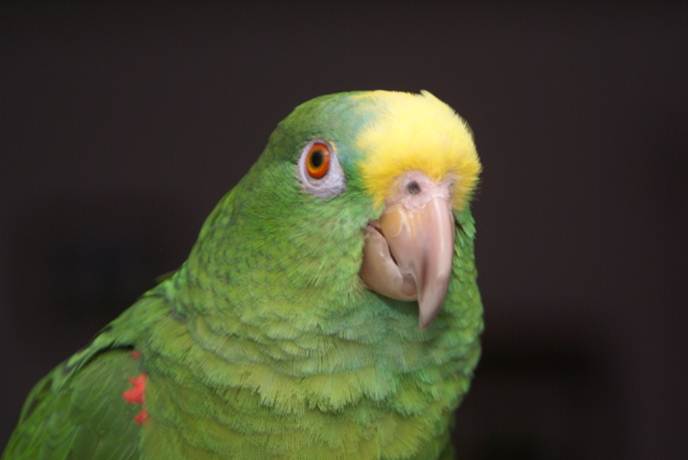 image022