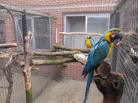 image019