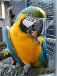 image023