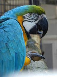 image024