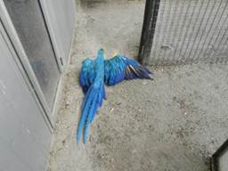 image026