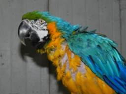 image028