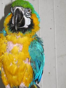 image031
