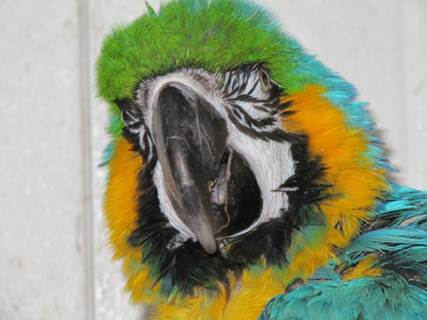 image032