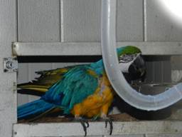 image036