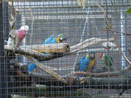 image038