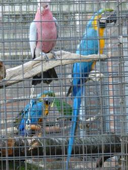 image040