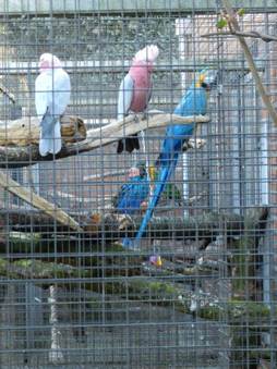 image041