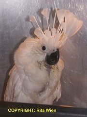 image047