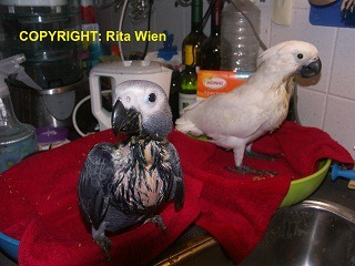 image051