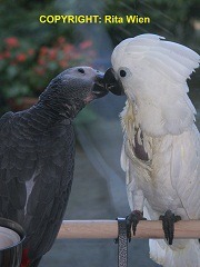 image052