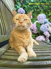 image056