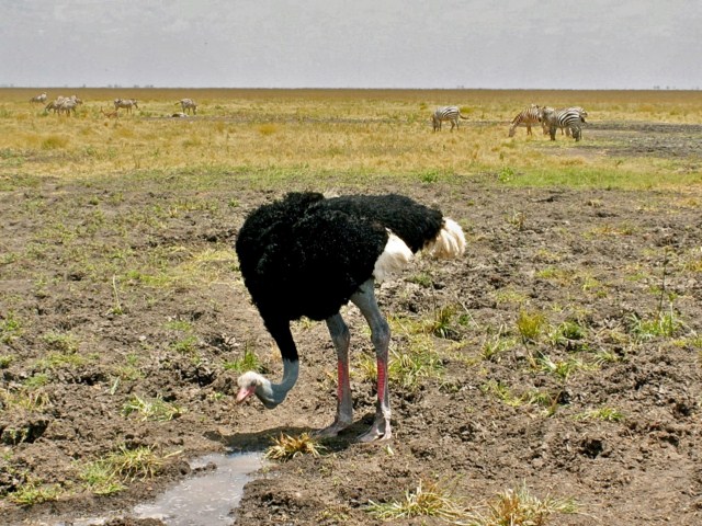 image013