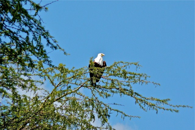 image015