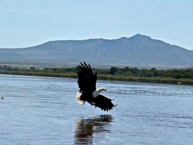 image016