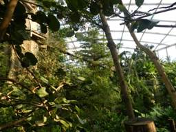 image007