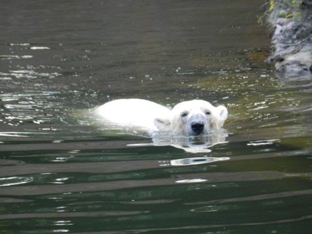 image0077