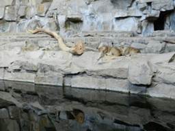 image073