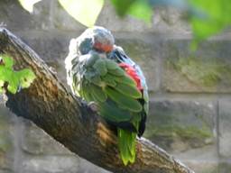 image080