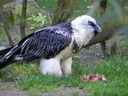 image081