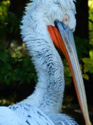 image082