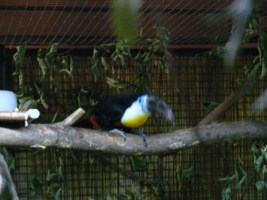 image017