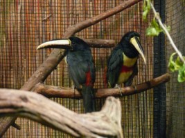 image019