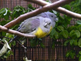 image020