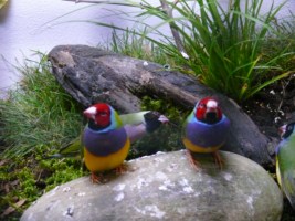 image021