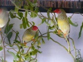 image022