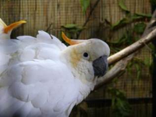 image025